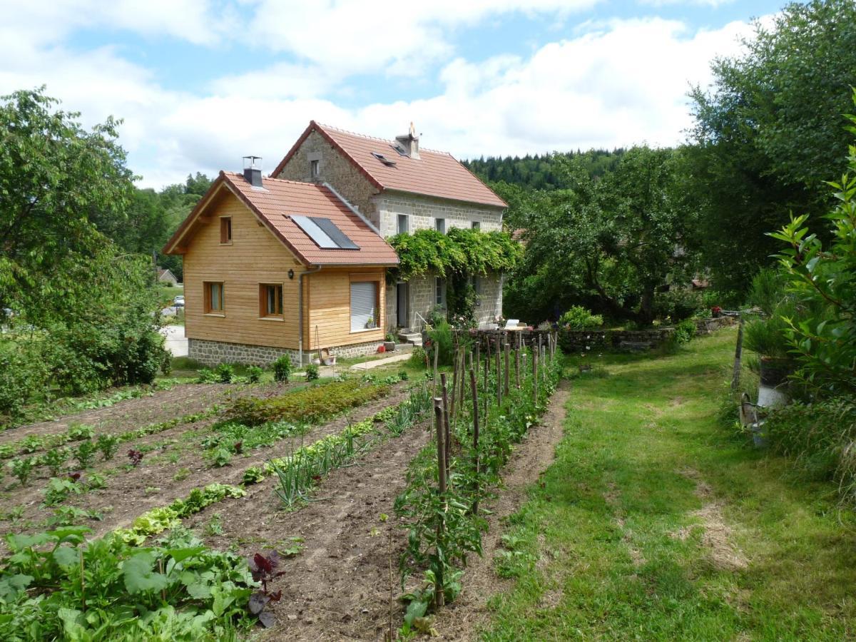 Saint-Georges-Nigremont Chez Geppetto Bed & Breakfast エクステリア 写真